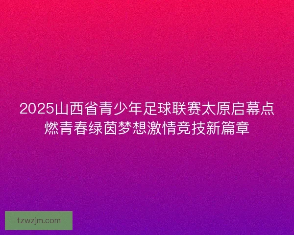 2025山西省青少年足球联赛太原启幕点燃青春绿茵梦想激情竞技新篇章