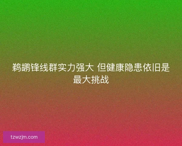鹈鹕锋线群实力强大 但健康隐患依旧是最大挑战