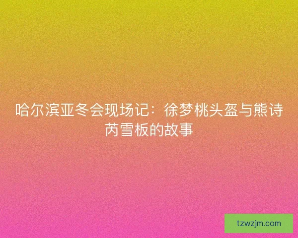 哈尔滨亚冬会现场记：徐梦桃头盔与熊诗芮雪板的故事