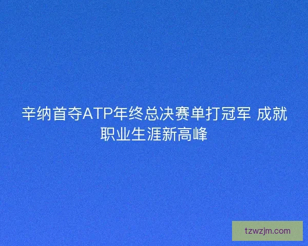 辛纳首夺ATP年终总决赛单打冠军 成就职业生涯新高峰 辛纳首夺ATP年终总决赛单打冠军 成就职业生涯新高峰